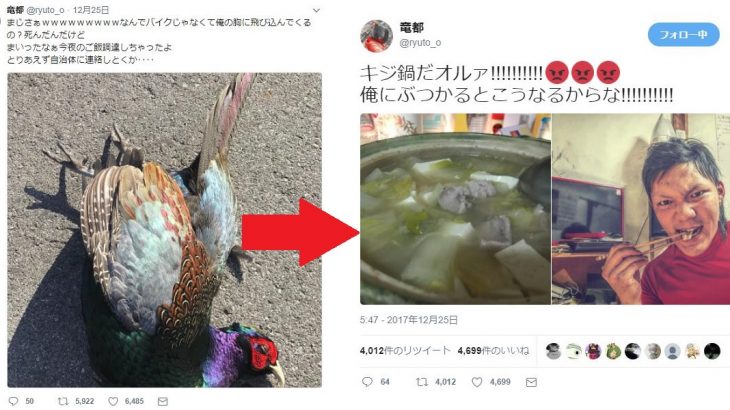 竜都‏さん@ryuto_o「俺にぶつかってきた鳥野郎を捌いてやった。キジ鍋だオルァ!!!!!!!!!!」→賞賛コメント殺到