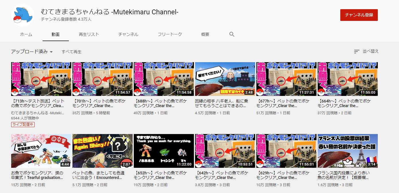 むてきまるちゃんねる 魚でポケモンクリア ベタ クラウンテールを加え3匹体制に 黒白ニュース