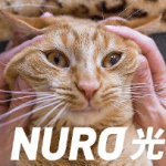 【悲報】NURO光を申し込み、1年超外工事が終了せず→キャンペーンの1年間980円も対象外、詐欺ではないかと怒りの告発