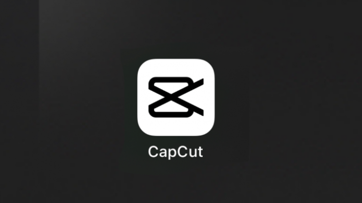 【同意前によく読んで!】画像を3Dズームして立体的になるアプリ「CapCut」の利用規約がヤバいと話題に!