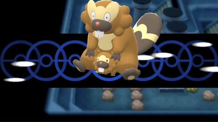 【爆笑】ダイパリメイク 大きいビーダルから小さいビッパが生えてくるバグ見つかる